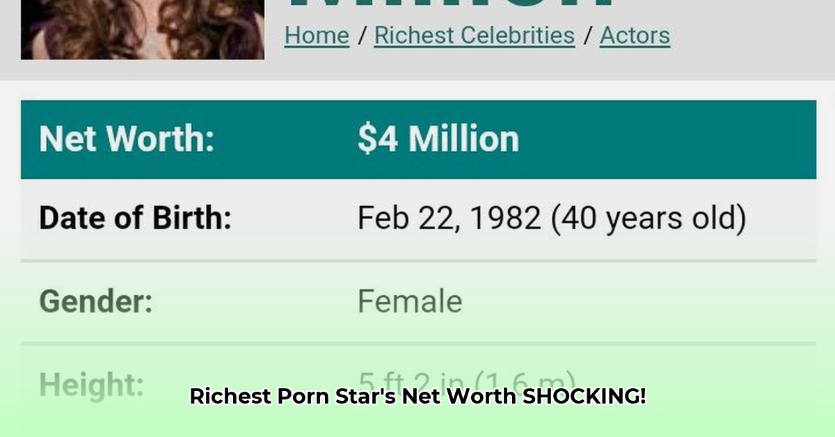 richest-pornographic-actress